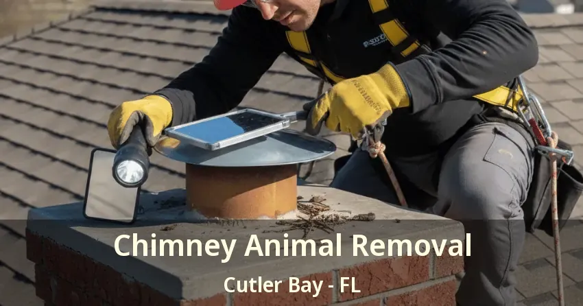 Chimney Animal Removal Cutler Bay - FL