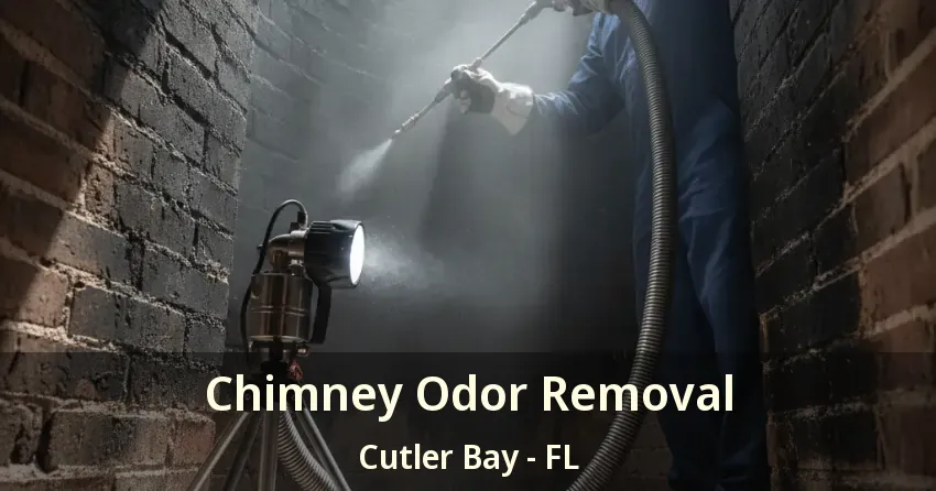 Chimney Odor Removal Cutler Bay - FL