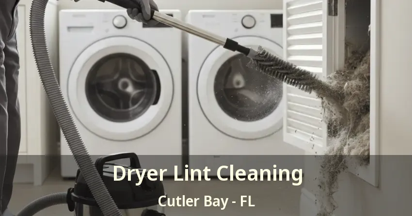 Dryer Lint Cleaning Cutler Bay - FL