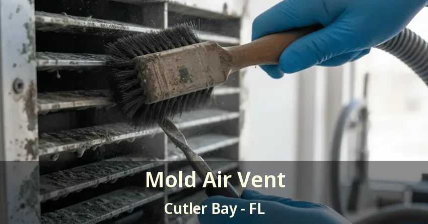 Mold Air Vent Cutler Bay - FL Mold Air Vent Cutler Bay - FL