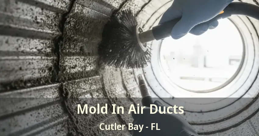 Mold In Air Ducts Cutler Bay - FL