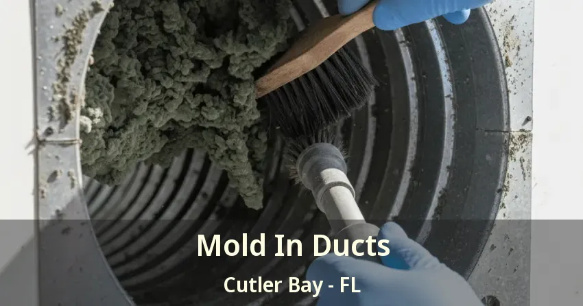 Mold In Ducts Cutler Bay - FL Mold In Ducts Cutler Bay - FL