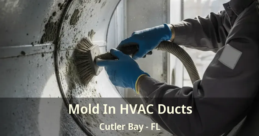 Mold In HVAC Ducts Cutler Bay - FL