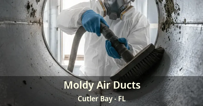 Moldy Air Ducts Cutler Bay - FL Moldy Air Ducts Cutler Bay - FL
